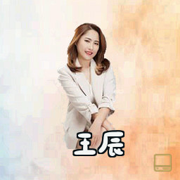 王辰