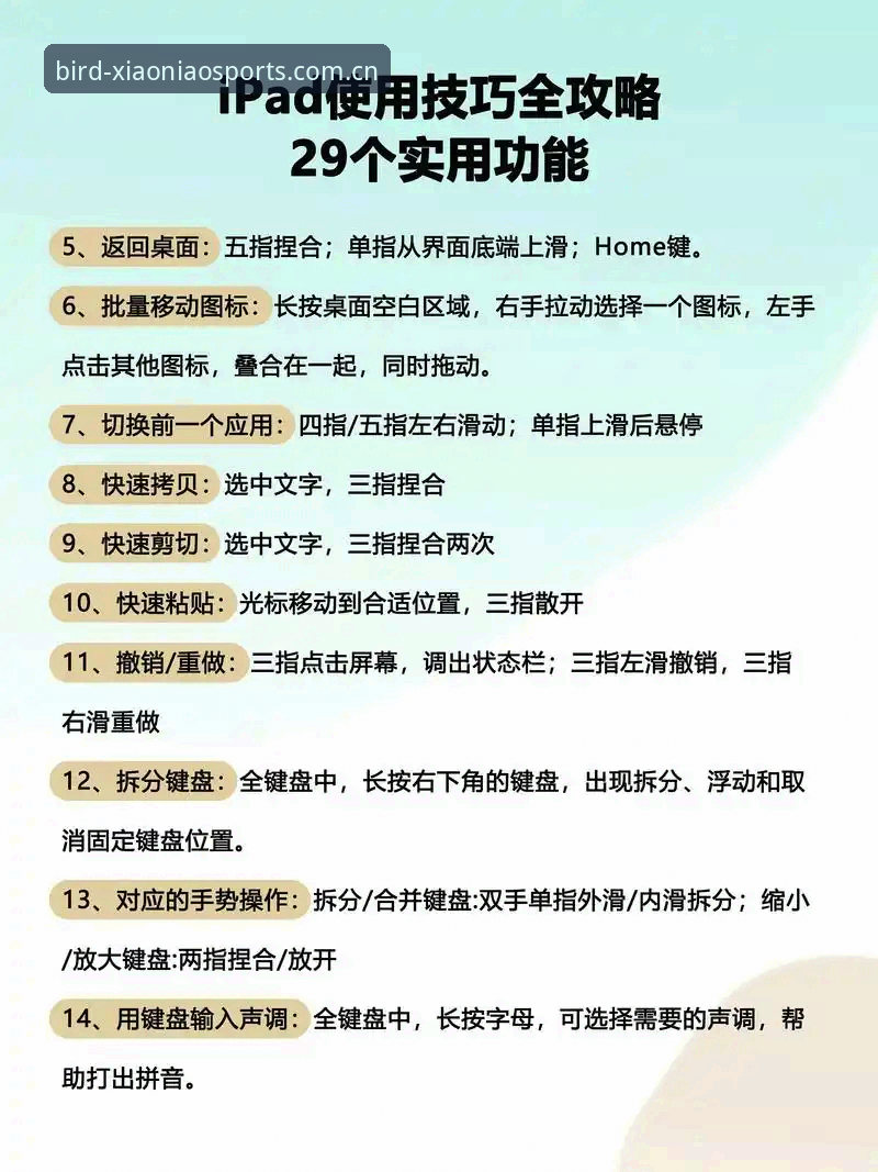 小鸟体育使用教程 小鸟体育使用教程,从下载到沉浸式看赛事体验究竟如何操作?